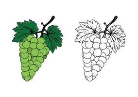 Minimalist black and white juicy grape green vine with green leaves line art sketch perfect for coloring book clip art artistic school projects icons simple monochrome designs clean white background vector