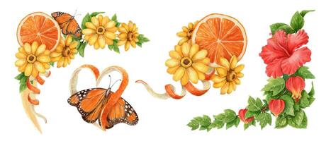 Colorful butterfly and flower illustration vector