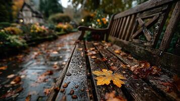 A wooden park bench covered in wet autumn leaves and water droplets. Peaceful fall scene. photo