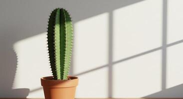 Green cactus plant in a terracotta pot with sunlight shadows on a plain white wall. Minimalist home decor. photo