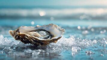 A fresh oyster with a shimmering pearl, served on ice, against a serene ocean backdrop. photo