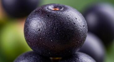 Close-up of black berry photo