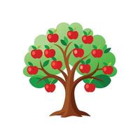 ilustración de manzana árbol con rojo manzanas y verde hojas, Perfecto para naturaleza, agricultura, orgánico alimento, jardín, y educativo diseño proyectos vector