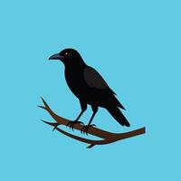 negro cuervo sentado en árbol rama ilustración con azul fondo, Perfecto para Víspera de Todos los Santos, misterio, naturaleza, fauna silvestre, y escalofriante temática diseño proyectos vector