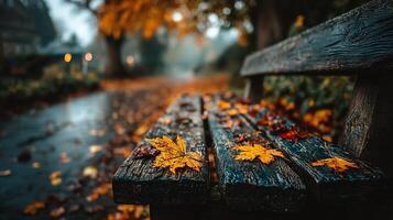 Fallen autumn leaves decorate a wet, rustic park bench in a serene park setting. photo