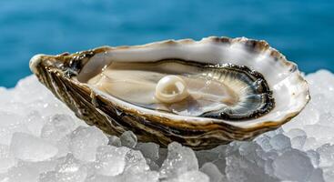 Single white pearl nestled inside an open oyster shell, resting on a bed of ice. photo