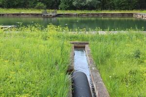A Serene Water Channel in the Lush Green Surroundings of Natures Beautiful Landscape photo