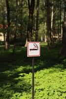 No Smoking Sign That Is Set in a Serene Forest Environment Surrounded by Natures Beauty photo
