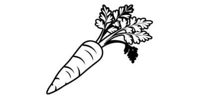 Simple Black and White Carrot Illustration with Leaves on Transparent Background This black white vector