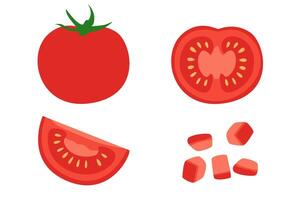 Fresh Tomato in Whole, Half, Slice, and Diced Cuts, Flat Set of Red Tomato in Different Preparation Styles for Cooking and Recipe Design vector