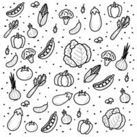 cabbage, tomato, corn, onion, eggplant, broccoli, peas and pumpkin in black and white vector