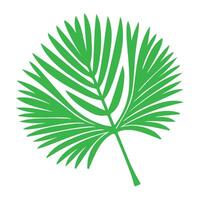 Green palm tree illustration with tropical foliage, perfect for isolated summer nature designs vector