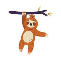 gracioso perezoso animal personaje colgando en árbol rama ilustración vector