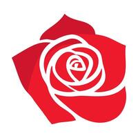 Rose flower of blooming of red petal for romantic floral decoration, wedding bouquet and valentine vector
