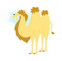 Funny cartoon animal flat icon Cute camel brush teeth vector