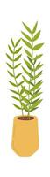 Kentia palm in ceramic pot flat icon Green houseplant vector