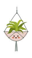 Cast Iron Plant in hanging pot flat icon vector
