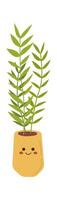 Kentia palm in ceramic cartoon pot flat icon Green houseplant vector