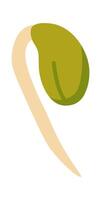 Soybean plant flat icon Agriculture vector