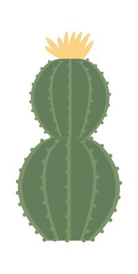 Cactus flat icon Terrarium for plants