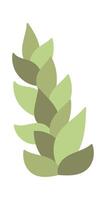 Button ferns plant flat icon Terrarium Decor element vector