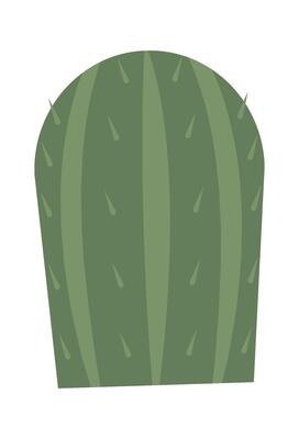 Cactus for terrarium Houseplant decor element
