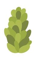 Green succulent flat icon Houseplant decor element Illustration vector