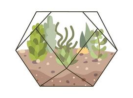 Enclosed terrarium with evergreen plants in soil flat icon vector