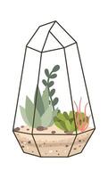 Glass terrarium flat icon Evergreen houseplant Decor element Icon vector