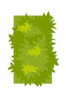 Bush flat icon Green fence Architectural and landscape element vector