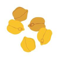 Chickpeas flat icon Grain cultivation Agriculture Flat Illustration vector