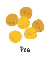 Pea flat icon Agriculture Plants cultivation Flat Illustration vector