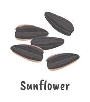 Sunflower flat icon Healthy vegan ingredient Flat Illustration Icon vector