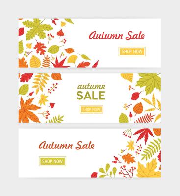 Set of autumn horizontal web banner templates with fallen tree leaves and sprigs with berries on white background. Flat bright colored illustration for seasonal sale advertisement, promotion.