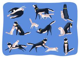 Bundle of dog and cat playing, chasing one another, sitting or lying together. Collection of pair of cute friends. Friendship between pets or domestic animals. Flat cartoon illustration. vector