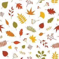 Autumn seamless pattern with fallen tree leaves and sprigs with berries on white background. Colorful natural autumnal illustration in flat style for wrapping paper, backdrop, textile print. vector