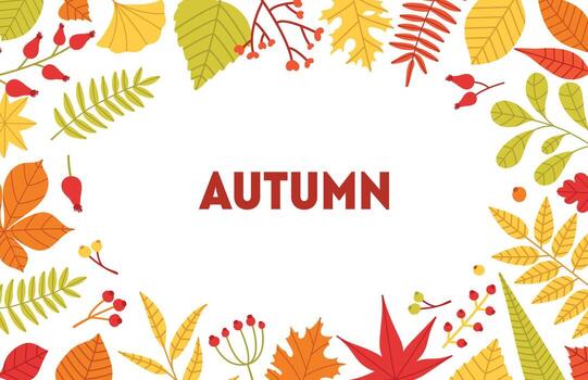 Autumn horizontal background with frame made of fallen tree leaves and berries on white background. Seasonal backdrop with foliage border. Flat illustration for advertisement, promotion. vector