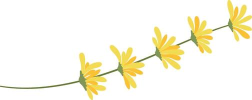 Five stylized yellow flowers with long, elegant petals blooming on a slender green stem, creating a gentle wavy line against a clean white background, exuding freshness and beauty vector
