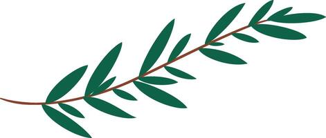 Green olive branch with leaves extending gracefully on a white background, evoking themes of peace, victory, and natural beauty, ideal for various design projects vector