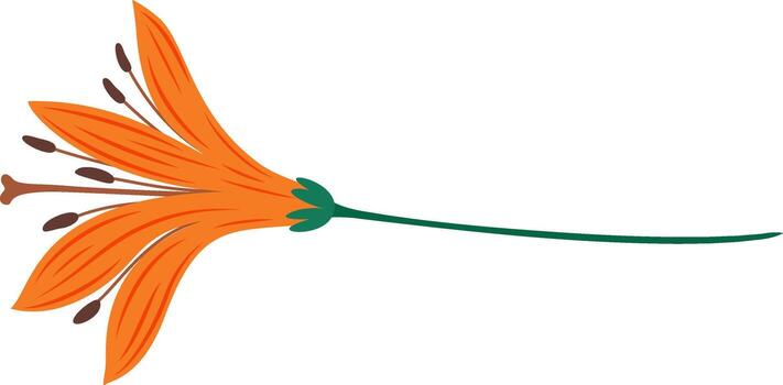 Orange lily flower featuring a long green stem, lying horizontally against a pristine white background, creating a simple yet elegant floral design element perfect for various artistic applications vector