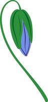 Closed bud of a bluebell flower with a green stem hanging down, isolated against a white background, showcasing a simple, flat illustration that captures nature's elegance vector