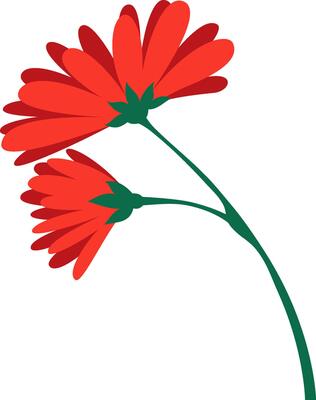 Two vibrant red flowers blooming on a gracefully curved green stem, showcasing an elegant floral design that captures the beauty of nature in a simple yet striking form