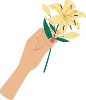 Woman's hand with light skin and vibrant red nail polish gracefully holding a bright yellow lily flower, featuring a lush green stem and leaves, set against a clean white background vector