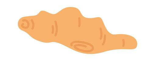 Ginger root for special taste flat icon Asian food vector
