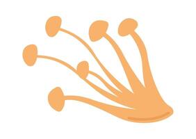 Mushrooms for special taste flat icon Asian food vector