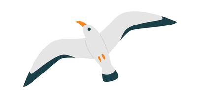 Seagull bird fly flat icon Freedom Open wings Illustration vector