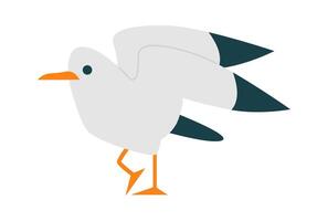Seagull bird fly flat icon Freedom Open wings Icon vector