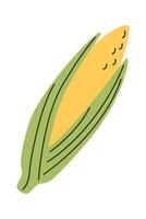 Corn flat icon Organic food vegetable cultivation vector
