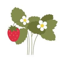 Strawberry tasty berries plants flat icon Fruits cultivation vector