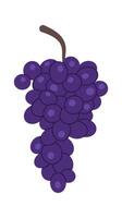 Grape berry flat icon Tasty organic fruit vector